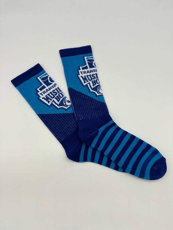 Royal Blue and Azur Music City Bowl Calf Length Sport Socks